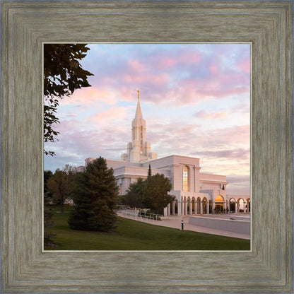 Bountiful Pastel Light