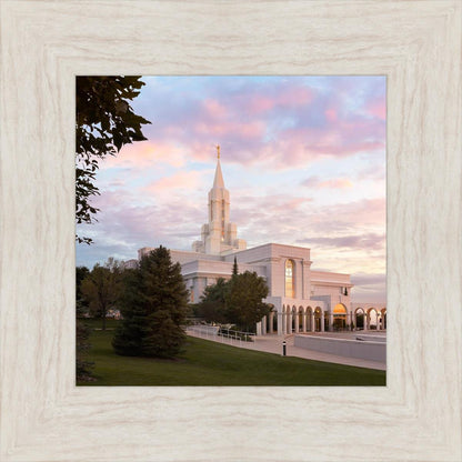 Bountiful Pastel Light