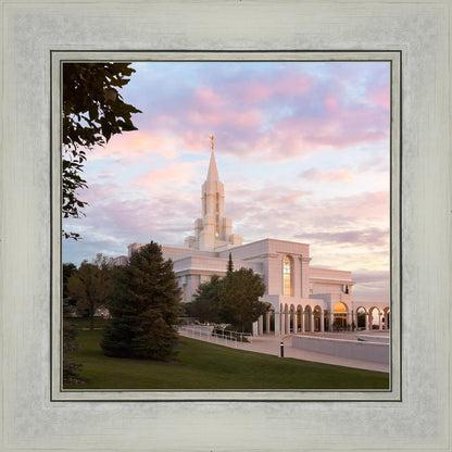 Bountiful Pastel Light