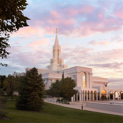 Bountiful Pastel Light