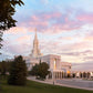 Bountiful Pastel Light