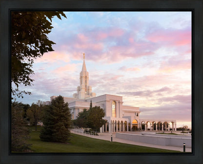 Bountiful Pastel Light