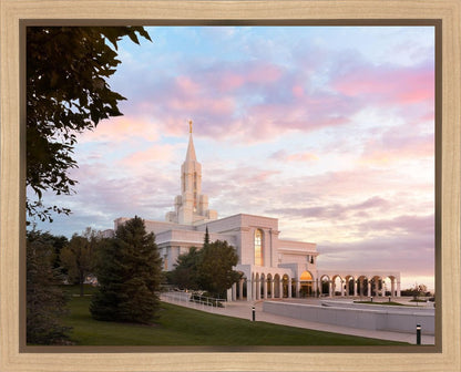 Bountiful Pastel Light