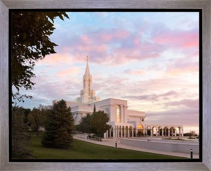 Bountiful Pastel Light