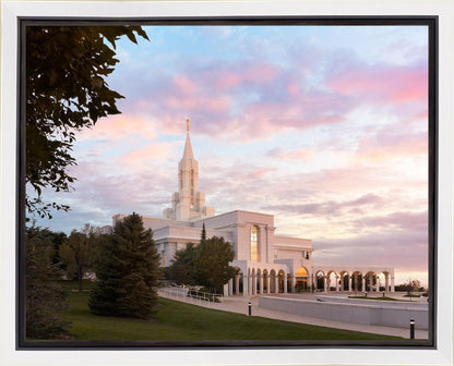 Bountiful Pastel Light