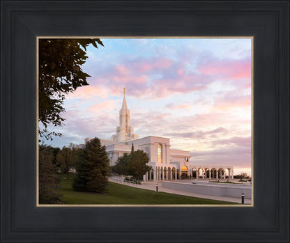 Bountiful Pastel Light