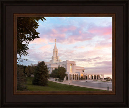 Bountiful Pastel Light