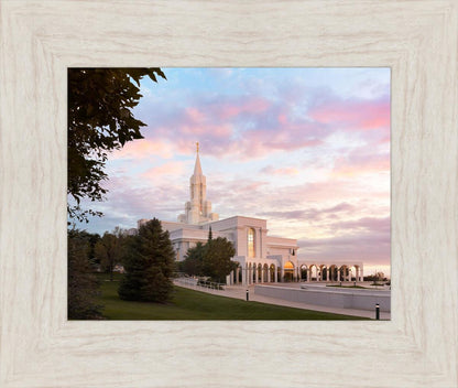 Bountiful Pastel Light