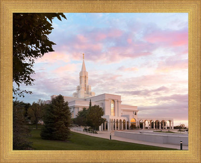 Bountiful Pastel Light