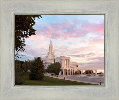 Bountiful Pastel Light