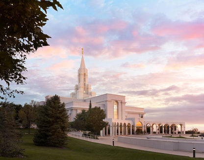 Bountiful Pastel Light