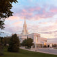Bountiful Pastel Light