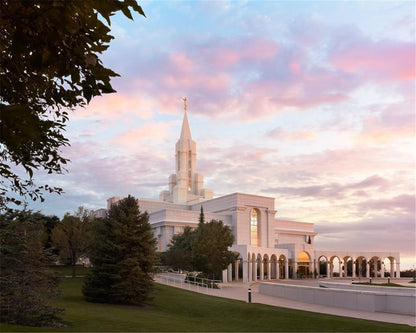 Bountiful Pastel Light