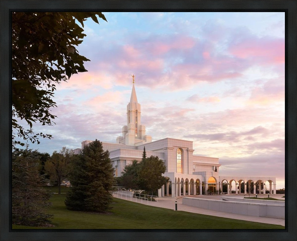 Bountiful Pastel Light