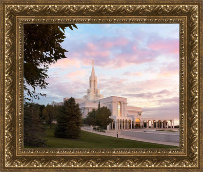 Bountiful Pastel Light