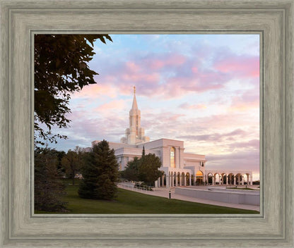 Bountiful Pastel Light