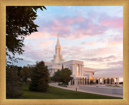 Bountiful Pastel Light