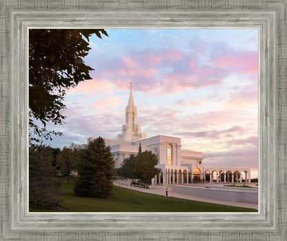 Bountiful Pastel Light