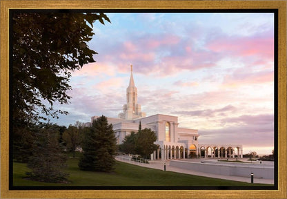 Bountiful Pastel Light