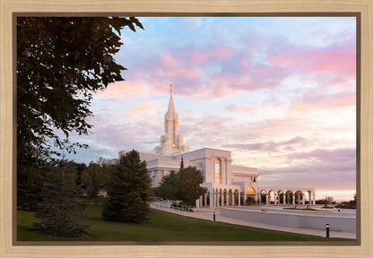 Bountiful Pastel Light