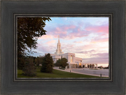 Bountiful Pastel Light