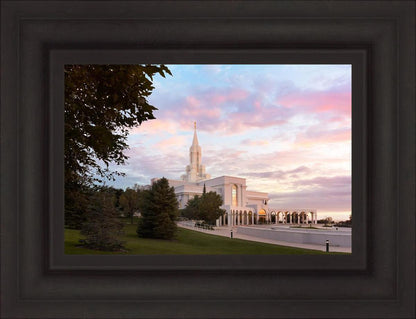 Bountiful Pastel Light