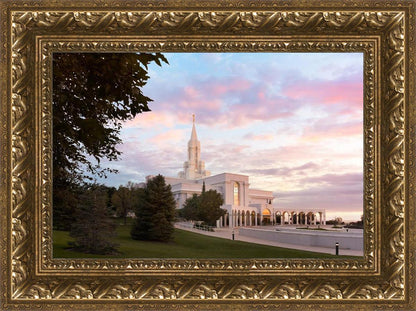 Bountiful Pastel Light