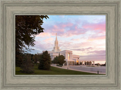 Bountiful Pastel Light