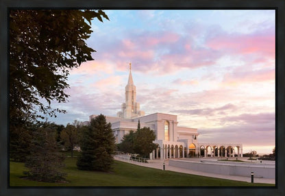 Bountiful Pastel Light