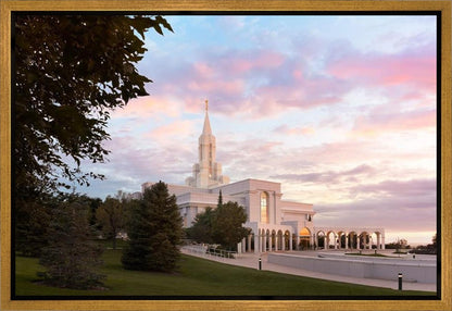 Bountiful Pastel Light