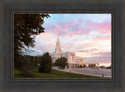 Bountiful Pastel Light