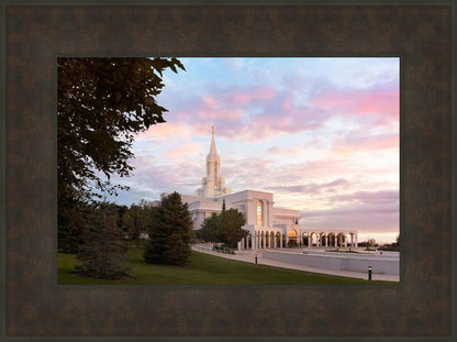 Bountiful Pastel Light