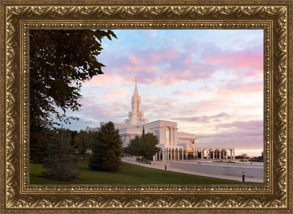 Bountiful Pastel Light