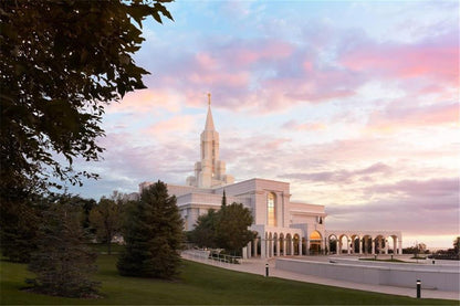 Bountiful Pastel Light