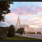 Bountiful Pastel Light