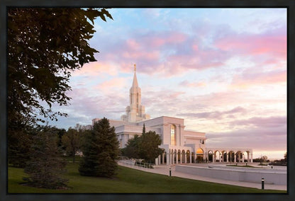 Bountiful Pastel Light