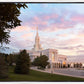 Bountiful Pastel Light