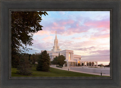 Bountiful Pastel Light