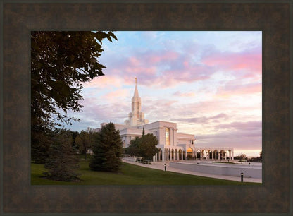 Bountiful Pastel Light