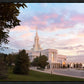 Bountiful Pastel Light