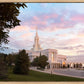 Bountiful Pastel Light