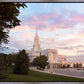 Bountiful Pastel Light