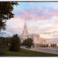 Bountiful Pastel Light