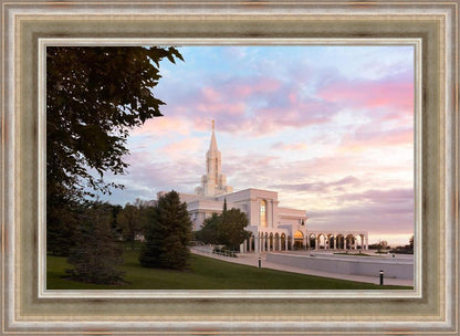 Bountiful Pastel Light