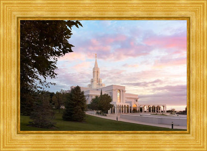 Bountiful Pastel Light