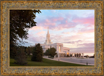 Bountiful Pastel Light