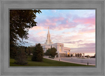 Bountiful Pastel Light