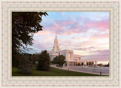 Bountiful Pastel Light