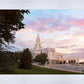 Bountiful Pastel Light