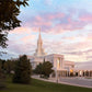 Bountiful Pastel Light